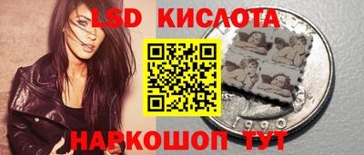 дмт Краснодар