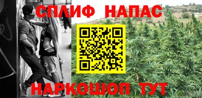 дмт Краснодар