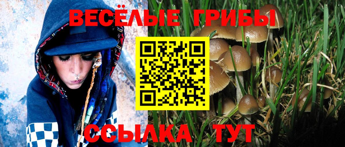 Касимов  Галлюциногенные грибы Cubensis  закладки  Вход с VPN 