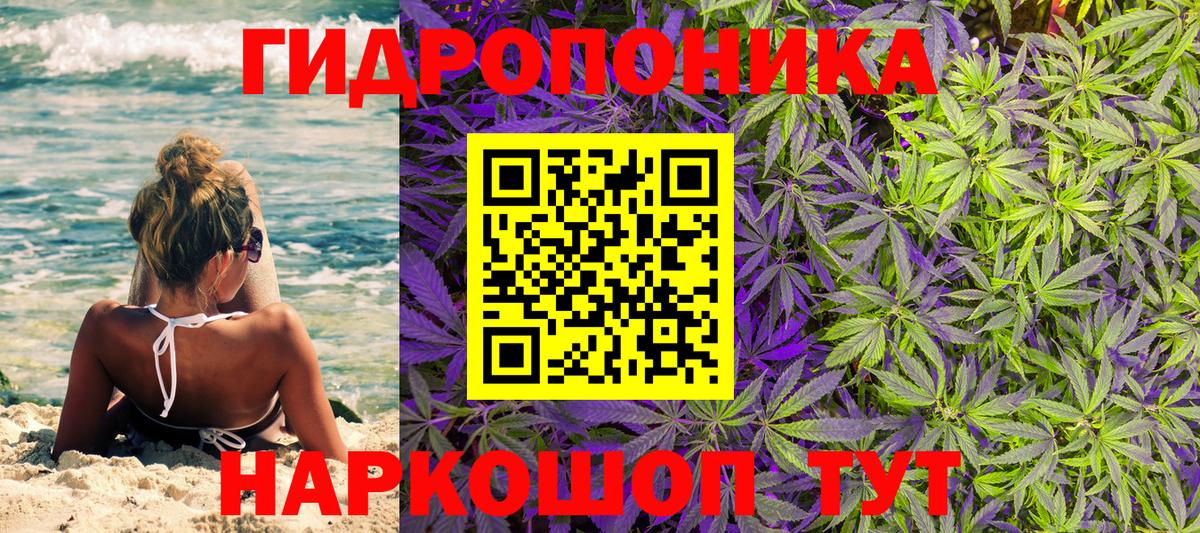 Каннабис индика Касимов
